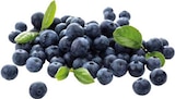 EDEKA Münster - Bio Heidelbeeren Angebot im Prospekt Bio Heidelbeeren bei EDEKA im Münster Prospekt für 1,79 €