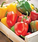 Intermarché Villespassans - Promo Poivron Tricolore Promo Poivron Tricolore à 1,59 € dans le catalogue Intermarché à Villespassans