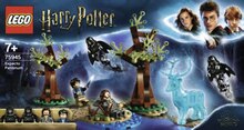 Le Monde d’Harry Potter - Géant Casino à Cannes Le Monde d’Harry Potter en promo chez Géant Casino Cannes à 17,90 €