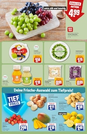 Tierbedarf im REWE Prospekt in Brühl Aktueller REWE Prospekt mit Tierbedarf, "Dein Markt", Seite 8