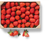 Span. Erdbeeren bei Kaufland im Celle Prospekt für 6,99 €