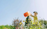 Bauerngarten-Stauden im Angebot bei Hagebaumarkt in Ettlingen Bauerngarten-Stauden Angebote bei Hagebaumarkt Ettlingen für 7,99 €