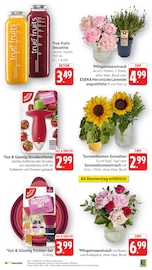 Blumen im EDEKA Prospekt in Aalen Aktueller EDEKA Prospekt mit Blumen, "Aktuelle Angebote", Seite 14