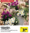 Hagebaumarkt Nottuln Prospekt mit  im Angebot für 3,99 €