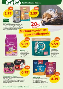 Katzenfutter im Fressnapf Prospekt "Nur das Beste für deinen Liebling. Bald ist Valentinstag" mit 12 Seiten (Essen)