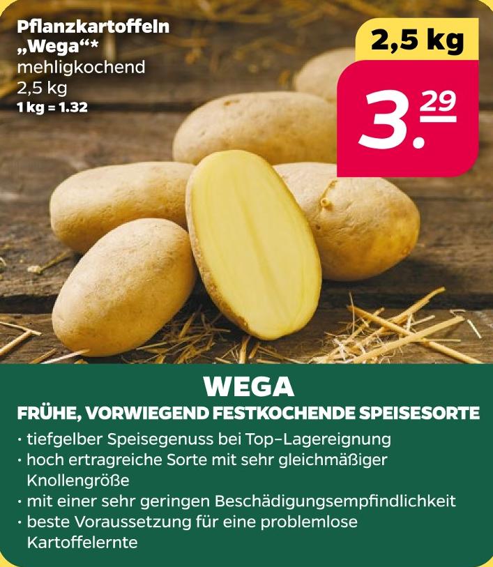 Pflanzkartoffeln Wega