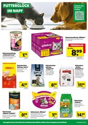Katzenstreu im Hagebaumarkt Prospekt in Hameln Aktueller Hagebaumarkt Prospekt mit Katzenstreu, "Sonnenstrom tanken? SO günstig geht das!", Seite 16