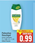 Duschgel von Palmolive im aktuellen E center Prospekt für 0,99 €