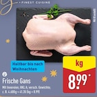 Frische Gans im Angebot bei ALDI Nord in Bremen Frische Gans Angebote bei ALDI Nord Bremen für 8,99 €