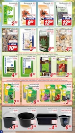 Aktueller CENTERSHOP Prospekt mit Dünger, "Da geht was.", Seite 2