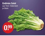 Endivien Salat im V-Markt Prospekt Endivien Salat von im aktuellen V-Markt Prospekt für 0,99 €