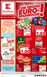 Aktueller Kaufland Prospekt mit Tee, "KNÜLLER", Seite 27