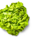 Ital. Endivien- oder Kopfsalat, lose bei Kaufland im Gröbenzell Prospekt für 0,99 €