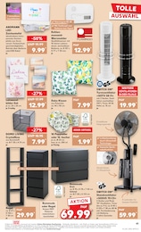 Ventilator Angebot im aktuellen Kaufland Prospekt auf Seite 41
