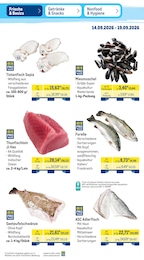METRO Thunfisch im Prospekt 