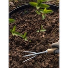 Terreau universel UAB - CARREFOUR dans le catalogue Carrefour Market