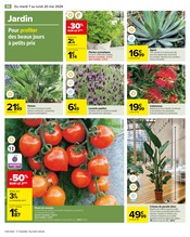 Plante Verte Angebote im Prospekt "Carrefour" von Carrefour auf Seite 58