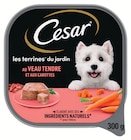 Pâtée en Terrine pour Chien au Veau Tendre et aux Carottes - Cesar en promo chez Netto Pâtée en Terrine pour Chien au Veau Tendre et aux Carottes - Cesar dans le catalogue Netto
