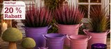 Aktuelle Blumentopf Angebote bei Garten-Center Nordharz GmbH & Co. KG in Hildesheim Aktuelles 20% Rabatt Angebot bei Garten-Center Nordharz GmbH & Co. KG in Hildesheim