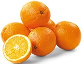 Bio Orangen Angebote von REWE Bio bei REWE Frankenthal für 1,99 €