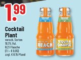 Aktuelle Tequila Angebote bei Trinkgut in Mönchengladbach Aktuelles Sex on the Beach Angebot bei Trinkgut in Mönchengladbach ab 1,99 €