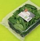 tegut... Bio-Baby Spinat im tegut Prospekt tegut... Bio-Baby Spinat von Bioland im aktuellen tegut Prospekt für 1,99 €