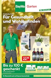 Blumen im BayWa Bau- und Gartenmärkte Prospekt in Schorndorf Aktueller BayWa Bau- und Gartenmärkte Prospekt mit Blumen, "Hier bin ich gern", Seite 1