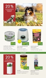 Aquarium im Pflanzen Kölle Prospekt "WINTERZAUBER ERLEBEN" auf Seite 17