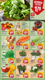 Aktueller REWE Prospekt mit Garten, "Dein Markt", Seite 7
