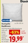 Aktuelle Kissen Angebote bei Lidl in Bielefeld Aktuelles Kopfkissen Angebot bei Lidl in Bielefeld ab 19,99 €