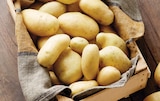 Pomme de terre de consommation - Intermarché Terroirs en promo chez Intermarché Express Le Blanc-Mesnil à 2,09 €