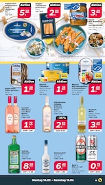 Wild im Netto mit dem Scottie Prospekt in Rostock Aktueller Netto mit dem Scottie Prospekt mit Wild, "Günstig. Besser. Für Dich.", Seite 17