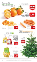 Offre Sapin Nordmann dans le catalogue Colruyt du moment à la page 30