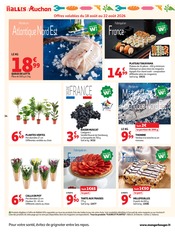 Promos Fleurs dans le catalogue "XXL" de Auchan Hypermarché Fleurs en promo dans le catalogue Auchan Hypermarché à la page 34