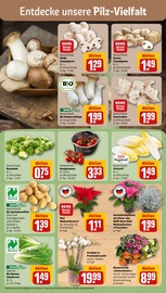 Pflanzen im REWE Prospekt in Herne Aktueller REWE Prospekt mit Pflanzen, "Dein Markt", Seite 5