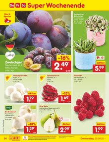 Pflanzen im Netto Marken-Discount Prospekt "Aktuelle Angebote" mit 44 Seiten (Bremen)