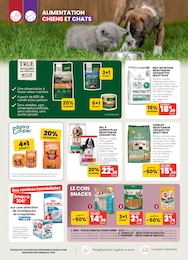Prix et réduction Pedigree dans le prospectus Animalis en cours Offre Pedigree dans le catalogue Animalis du moment à la page 2