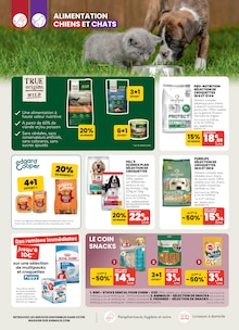 Catalogue Animalis à Nice cette semaine, valable du 01/06/2026 au 21/06/2026 Prospectus Animalis à Nice, "Vacances attendues, promos à perte de vue", 8 pages de promos valables du 01/06/2026 au 21/06/2026