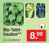 Bio-Tafel-trauben im Angebot bei Zimmermann in Göttingen Bio-Tafel-trauben Angebote bei Zimmermann Göttingen für 8,99 €