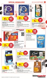 Offre Chat dans le catalogue Intermarché du moment à la page 15