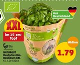 Bio-Basilikum XXL Angebot in Ellerbek, Kr Pinneberg Bio-Basilikum XXL im aktuellen Prospekt bei Penny-Markt in Ellerbek, Kr Pinneberg