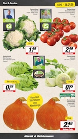 Tomaten im EDEKA Prospekt in Haltern am See Aktueller EDEKA Prospekt mit Tomaten, "Aktuelle Angebote", Seite 4