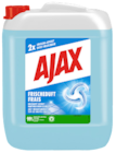 Allzweckreiniger von Ajax im aktuellen METRO Prospekt