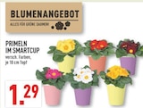 PRIMELN IM SMARTCUP bei Marktkauf im Warendorf Prospekt für 1,29 €