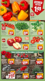 Tomaten im REWE Prospekt "Dein Markt" mit 26 Seiten (Paderborn)