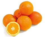 Orangen bei Netto mit dem Scottie im Erlbach-Kirchberg Prospekt für 2,49 €