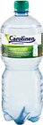 Natürliches Mineralwasser im Angebot bei Netto Marken-Discount in Arnsberg Natürliches Mineralwasser Angebote von Carolinens bei Netto Marken-Discount Arnsberg für 4,49 €