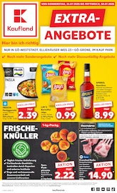 Aktueller Kaufland Supermarkt Prospekt in Gleichen und Umgebung, "EXTRA-ANGEBOTE" mit 8 Seiten, 24.07.2025 - 30.07.2025