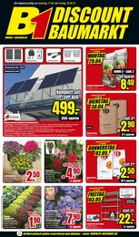 Kübelpflanzen Angebot im aktuellen B1 Discount Baumarkt Prospekt auf Seite 1
