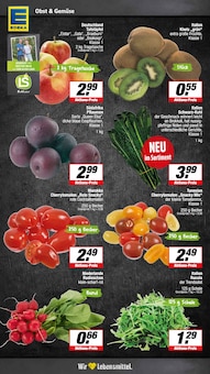 Äpfel im E center Prospekt "Aktuelle Angebote" mit 19 Seiten (Münster)